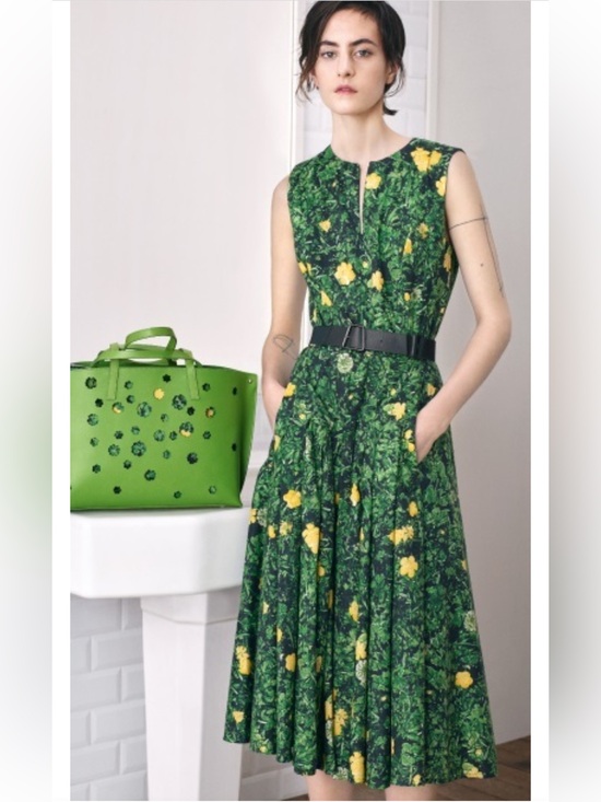 Akris Dresses & Skirts - AKRIS Buttercup Floral Print A-line Dress Size 8 Green Yellow Cotton Voile Chic